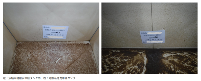 事例内容