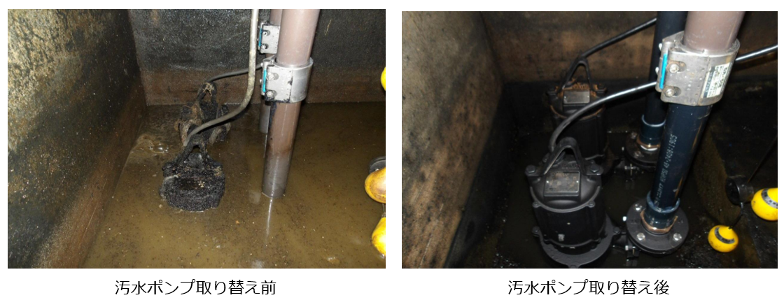 現地調査と応急対応